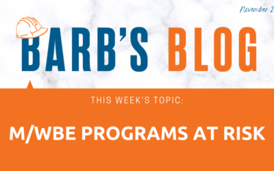 M/WBE Programs at Risk